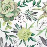Decoupage Napkin - (DN-8011) - Succulents - Set of 5