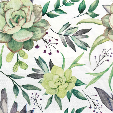 Decoupage Napkin - (DN-8011) - Succulents - Set of 5