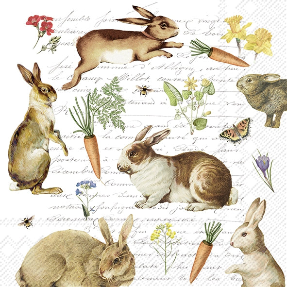 Decoupage Napkin - (DN-8019) - Hare Hunt