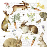 Decoupage Napkin - (DN-8212) - Hare Hunt