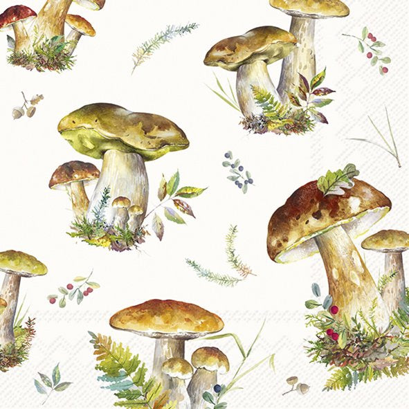 Decoupage Napkin - (DN-8021) - Mushroom Collection - Cream