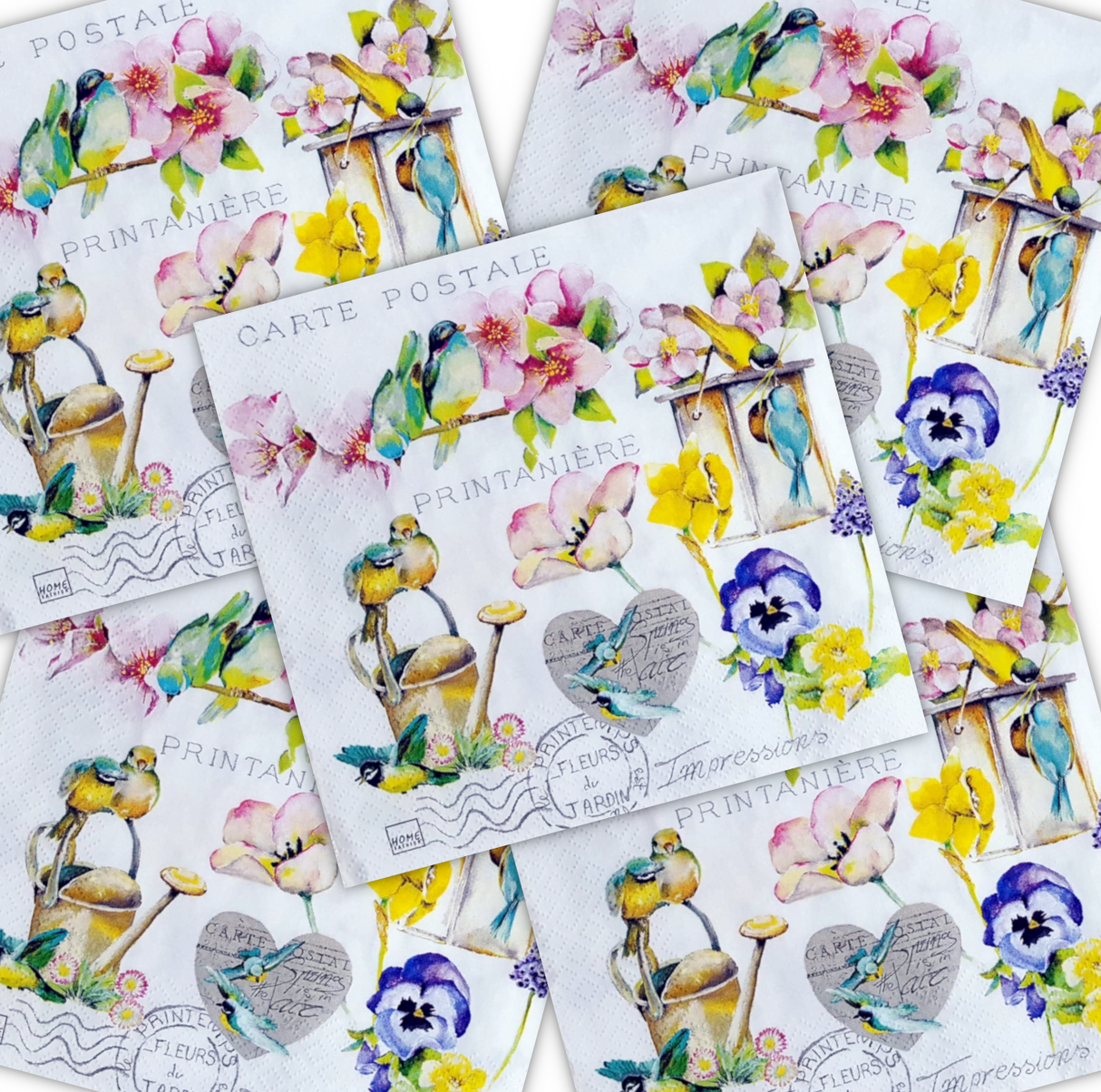 Decoupage Napkin - (DN-8028) - Garden Flair - Set of 5