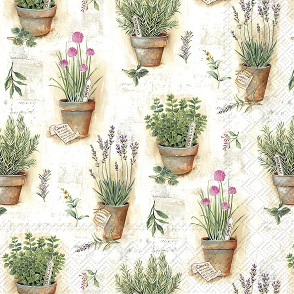 Decoupage Napkin - (DN-8029) - Herbs in Pots