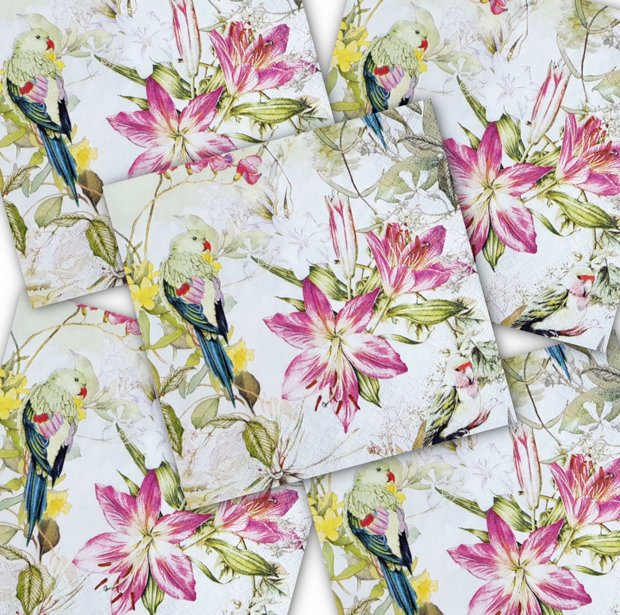 Decoupage Napkin - (DN-8031) - Flora and Fauna - Set of 5
