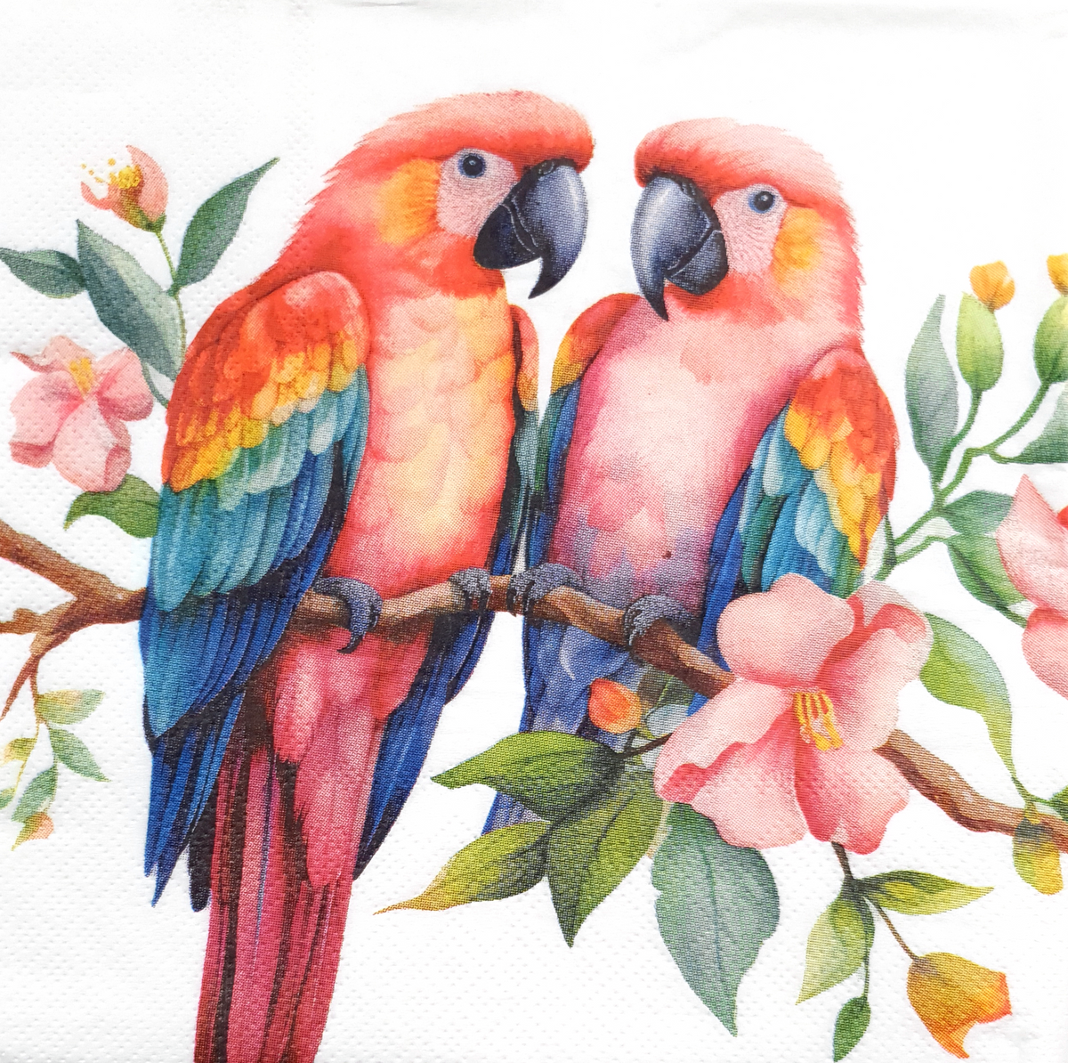 Decoupage Napkin - (DN-8032) - Bird  - Set of 5
