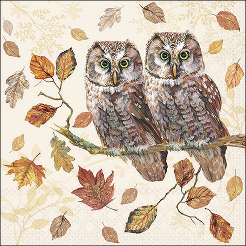 Decoupage Napkin - (DN-8040) -  Owl Couple