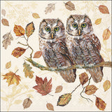 Decoupage Napkin - (DN-8040) -  Owl Couple - Set of 5