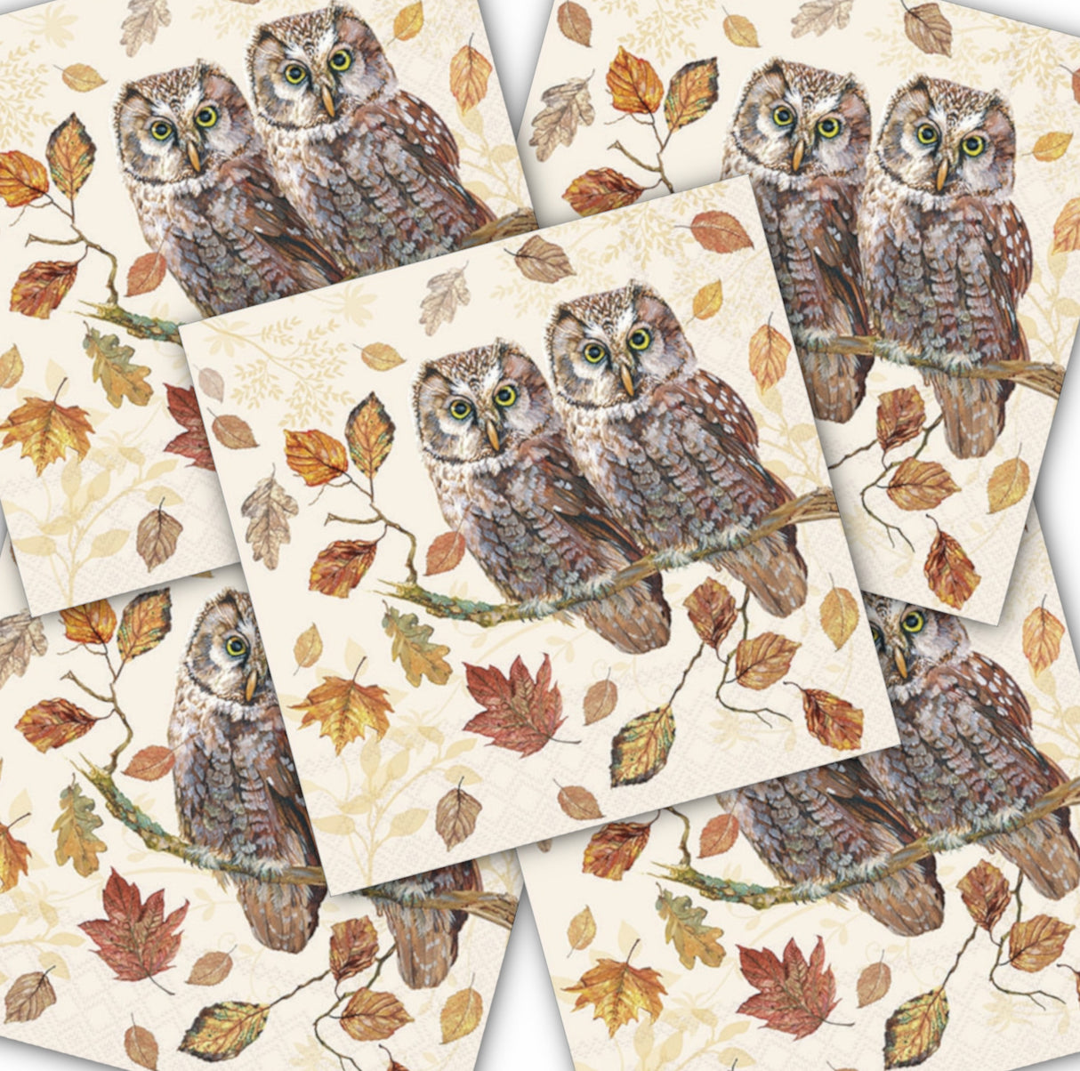 Decoupage Napkin - (DN-8040) -  Owl Couple - Set of 5