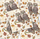 Decoupage Napkin - (DN-8040) -  Owl Couple - Set of 5