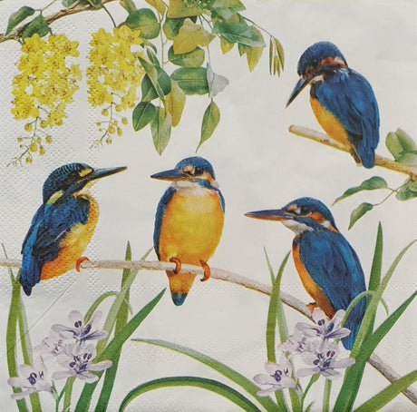 Decoupage Napkin - (DN-8040) - Set of 5