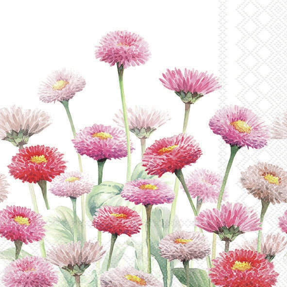 Decoupage Napkin - (DN-8044) - Painted Bellis