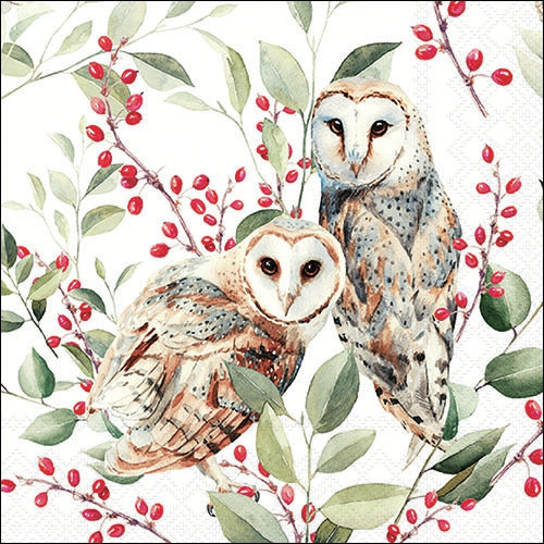 Decoupage Napkin - (DN-8045) -  Barn Owl Couple - White