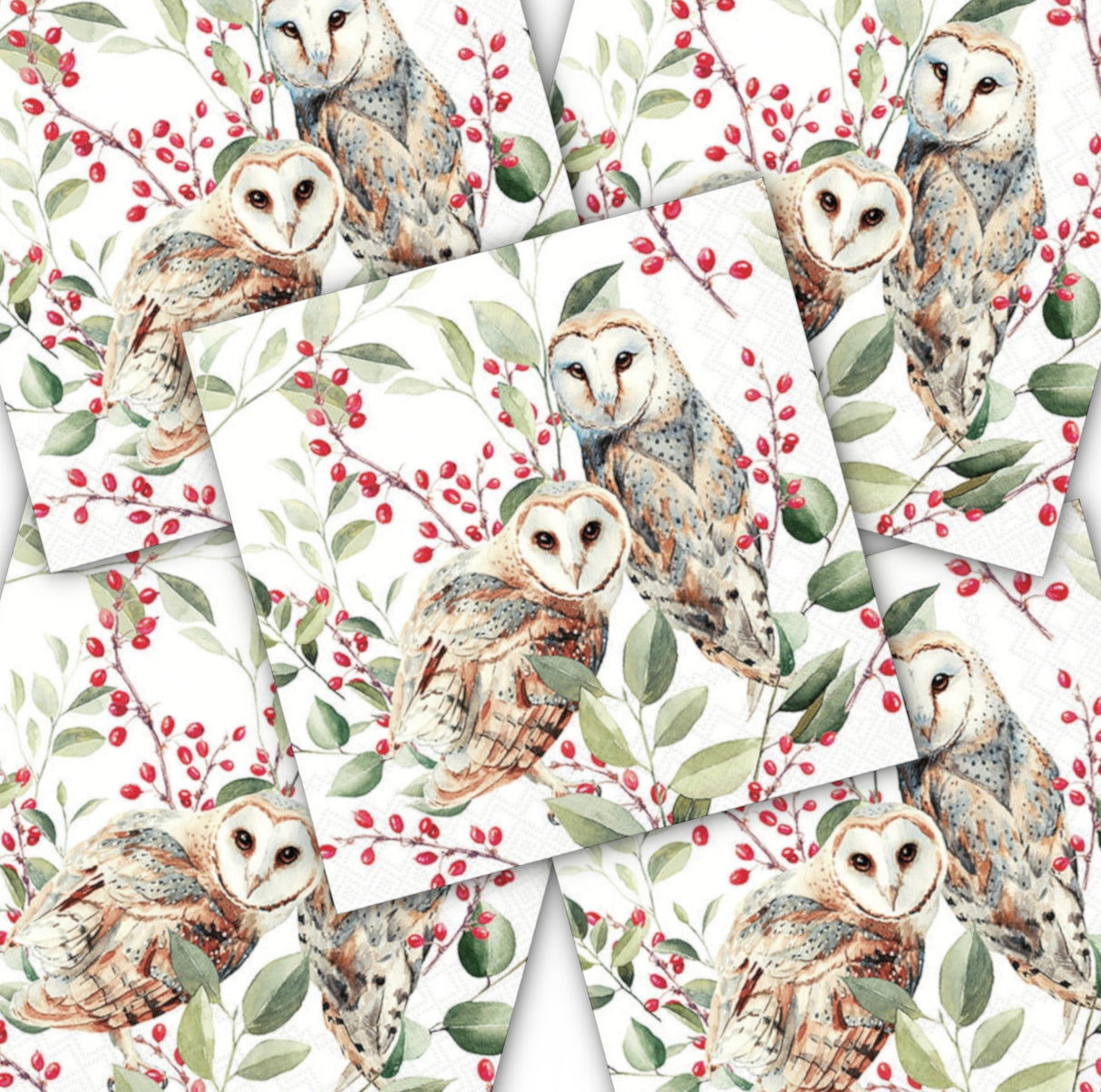 Decoupage Napkin - (DN-8045) -  Barn Owl Couple - White