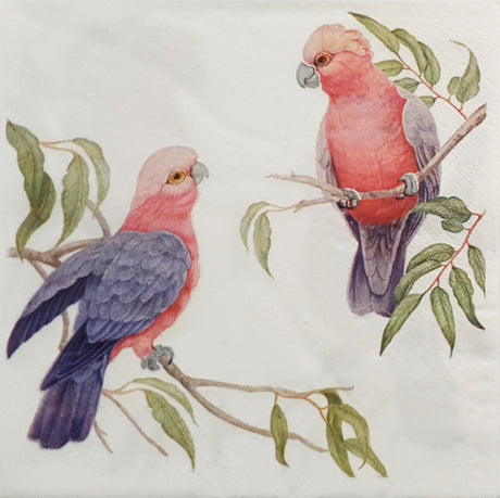 Decoupage Napkin - Galahs - (DN-8045) - Set of 5