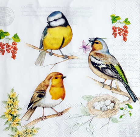 Decoupage Napkin - (DN-8047) - Birds On Twig - Set of 5