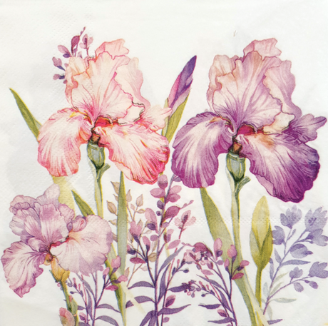 Decoupage Napkin - (DN-8049) - Flowers - Set of 5