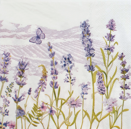 Decoupage Napkin - (DN-8051) - Set of 5