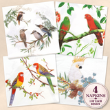 Decoupage Napkins - Set of 4 - 5063