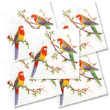 Decoupage Napkin - (DN-8054 - Rosellas) - Set of 5