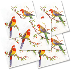 Decoupage Napkin - (DN-8054 - Rosellas) - Set of 5