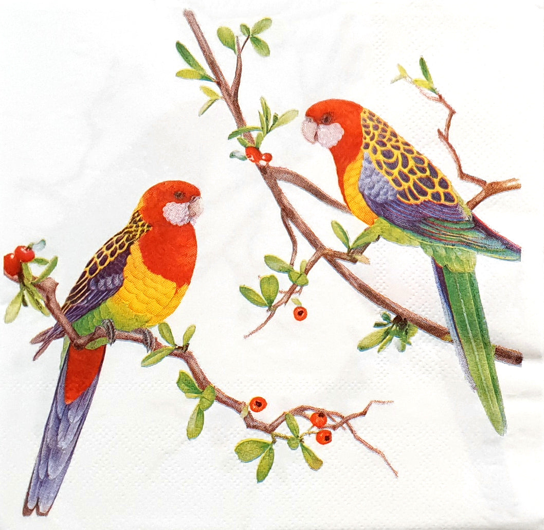 Decoupage Napkin - (DN-8054 - Rosellas) - Set of 5
