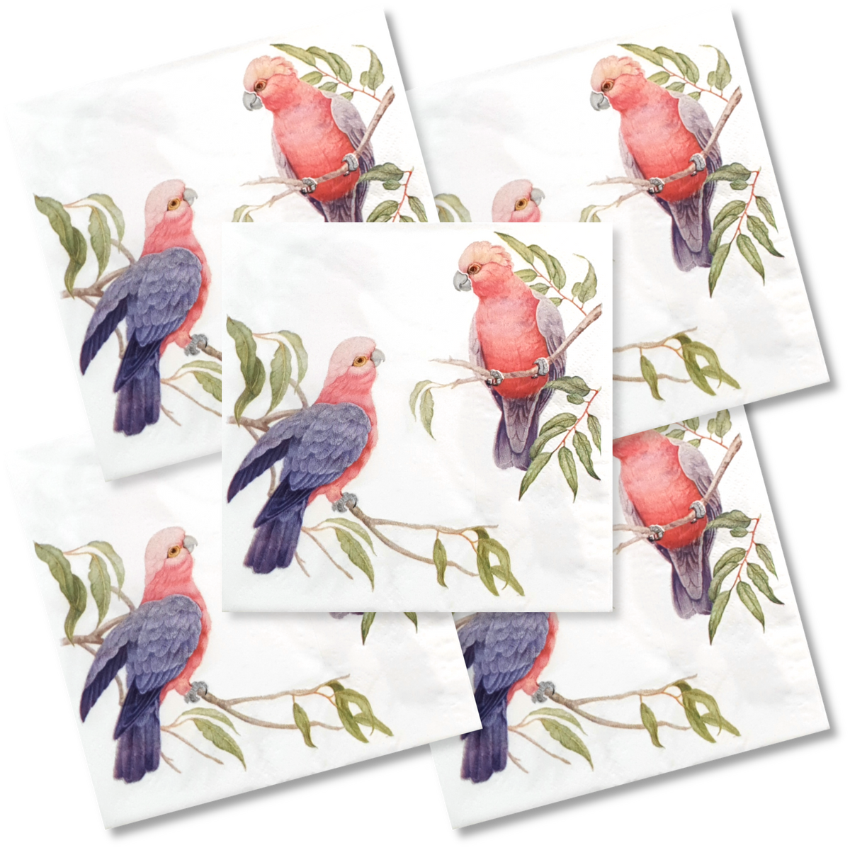 Decoupage Napkin - (DN-8056) - Galahs - Set of 5