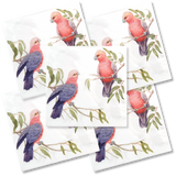 Decoupage Napkin - (DN-8056) - Galahs - Set of 5
