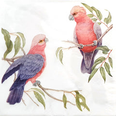 Decoupage Napkin - (DN-8056) - Galahs