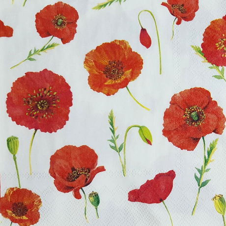 Decoupage Napkin - (DN-8057) - Poppy - Cream - Set of 5