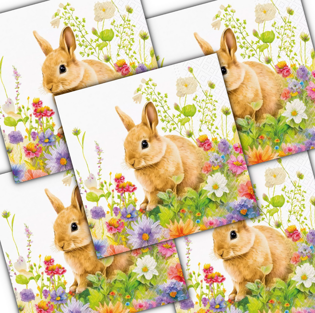 Decoupage Napkin - (DN-8058) - Spring Morning - Set of 5