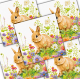 Decoupage Napkin - (DN-8058) - Spring Morning - Set of 5