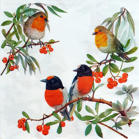 Decoupage Napkin - (DN-8062) - Set of 5