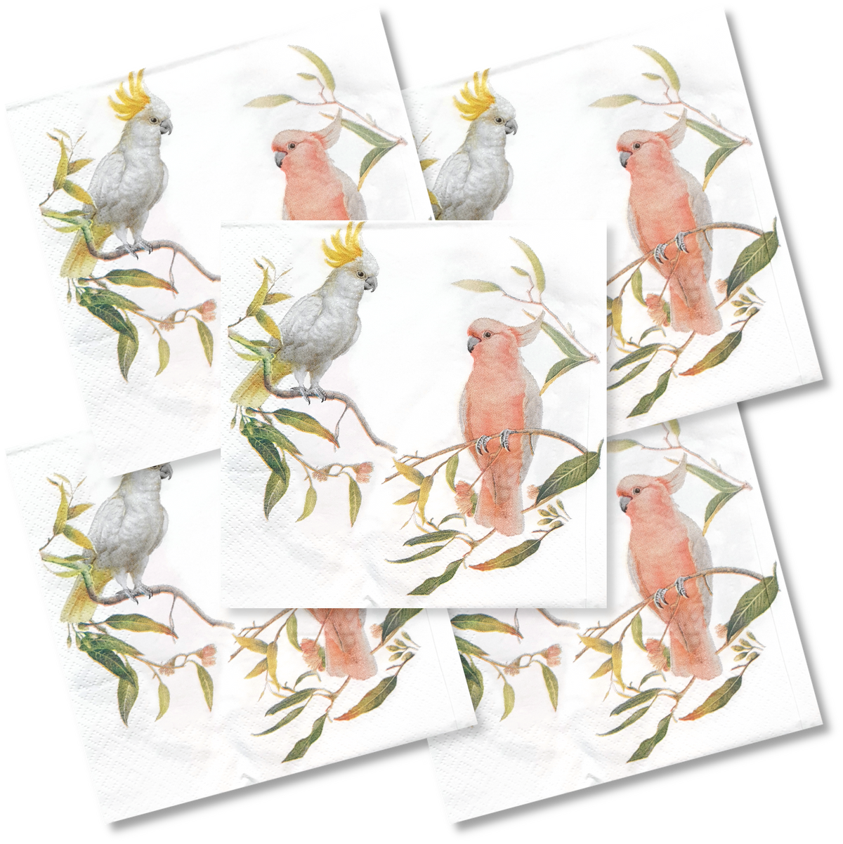 Decoupage Napkin - Parrot Friends - (DN-8067) - Set of 5