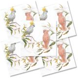 Decoupage Napkin - Parrot Friends - (DN-8067) - Set of 5