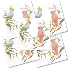 Decoupage Napkin - Parrot Friends - (DN-8067) - Set of 5