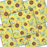 Decoupage Napkin - (DN-8085) - Vincent Green - Set of 5
