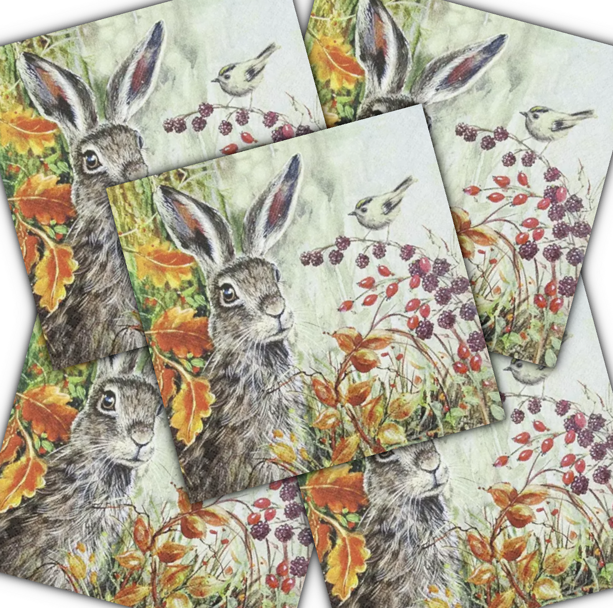 Decoupage Napkin - (DN-8090) - Rabbit in Autumn - Set of 5