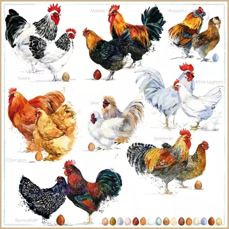 Decoupage Napkin - (DN-8100) - Poulets - Set of 5