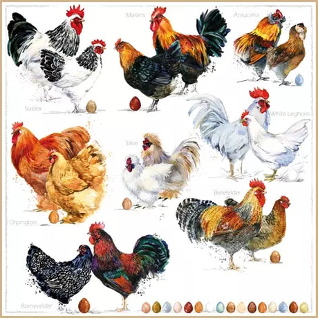 Decoupage Napkin - (DN-8100) - Poulets - Set of 5