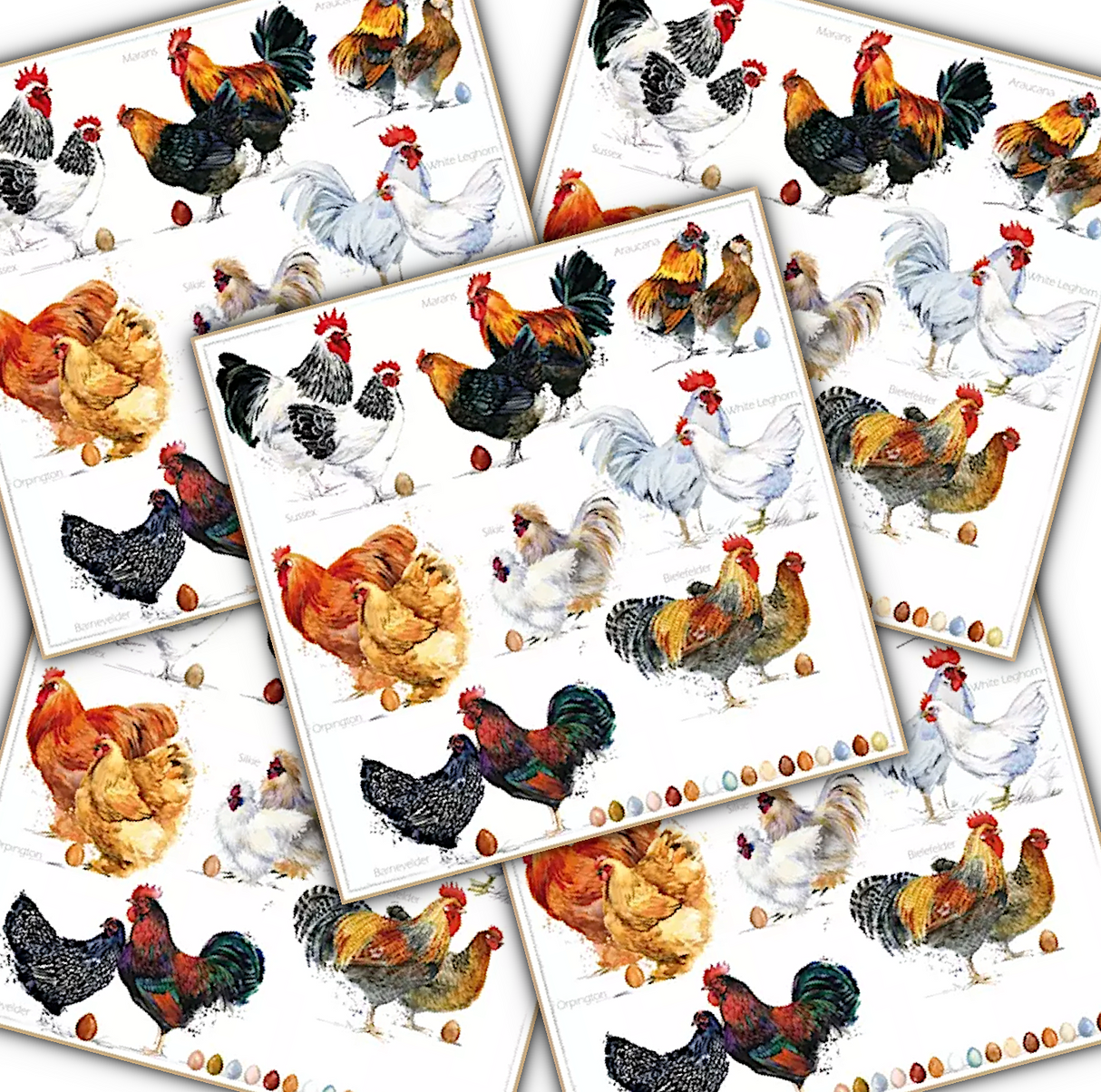 Decoupage Napkin - (DN-8100) - Poulets - Set of 5