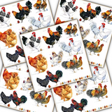 Decoupage Napkin - (DN-8100) - Poulets - Set of 5