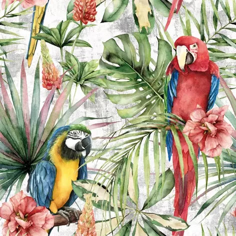 Decoupage Napkin - (DN-8101) - Macaw - Set of 5
