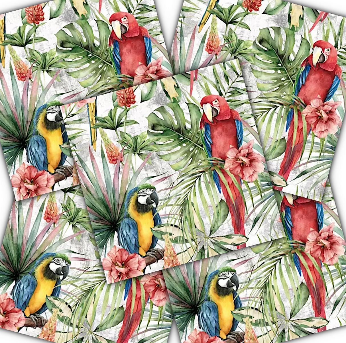 Decoupage Napkin - (DN-8101) - Macaw - Set of 5