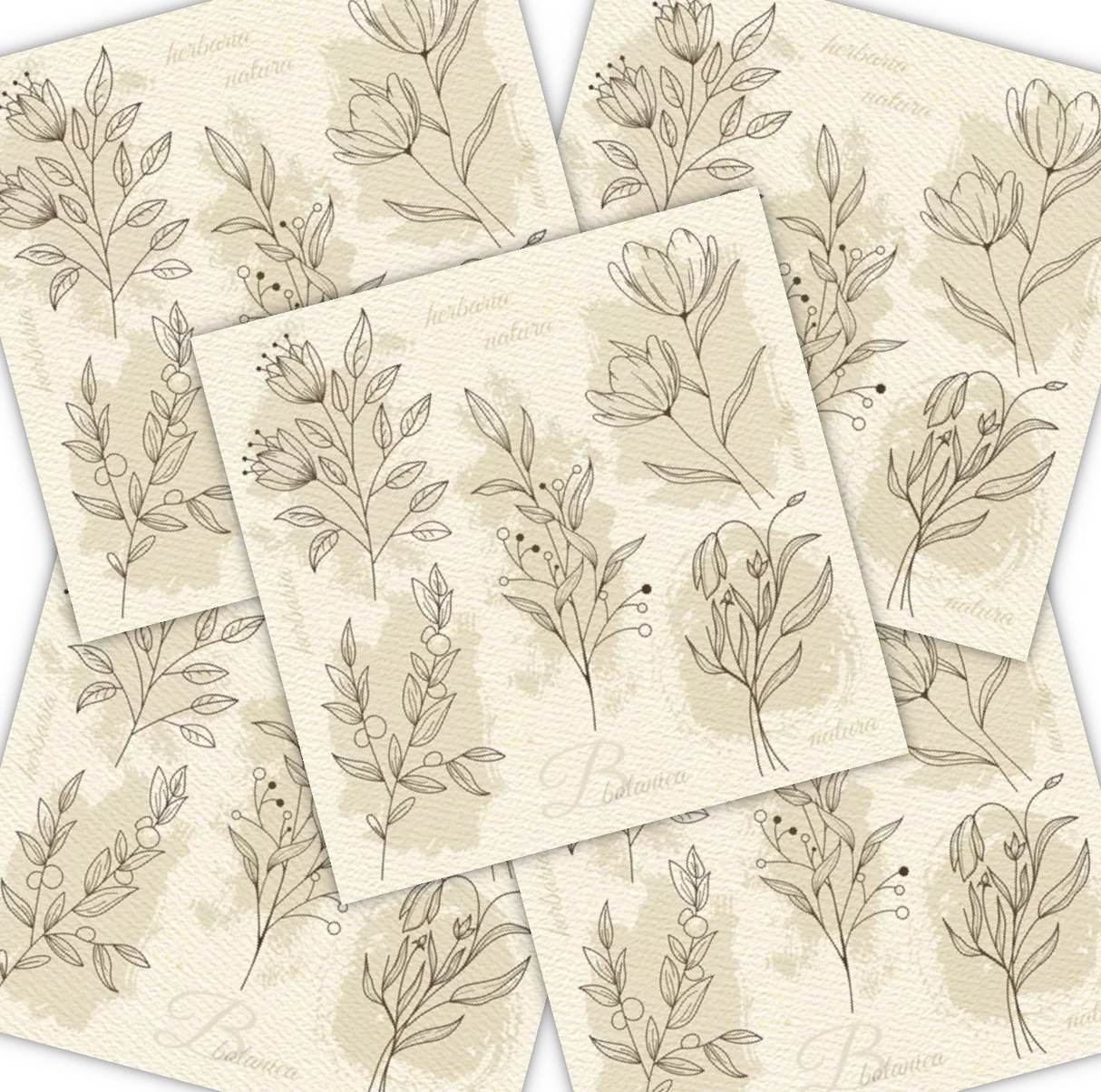 Decoupage Napkin - (DN-8111) - Beige Flower Illustration - Set of 5