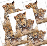 Decoupage Napkin - (DN-8135) - Leopard Mum & Cub - Set of 5