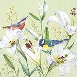 Decoupage Napkin - (DN-8138) - Birds in Lilies - Light Green - Set of 5