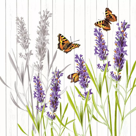 Decoupage Napkin - (DN-8155) - Smell Well - Set of 5
