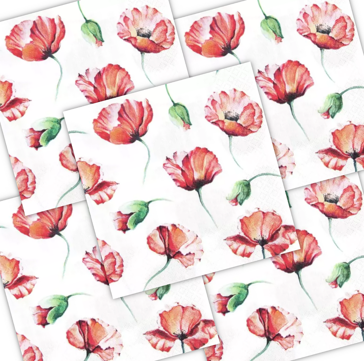 Decoupage Napkin - (DN-8161) - Poppy Drawing - Set of 5