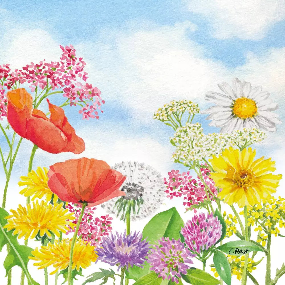 Decoupage Napkin - (DN-8173) - Summer Day