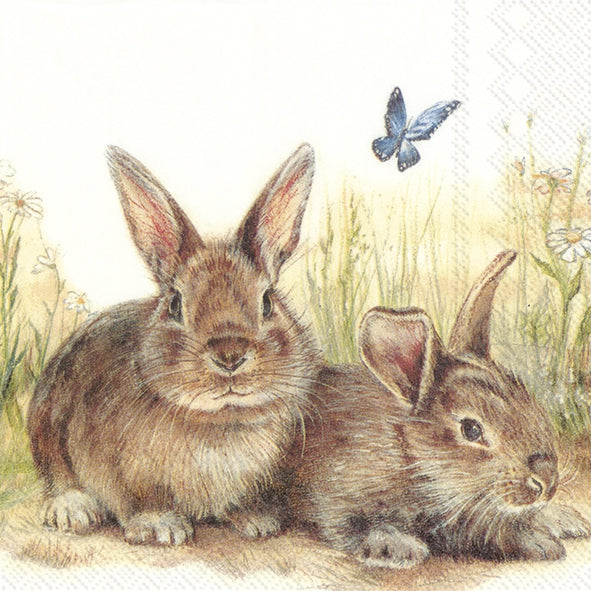 Decoupage Napkin - (DN-8177) - Bunny and Clyde